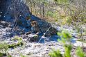 20090618_091523 D3 (1) X1